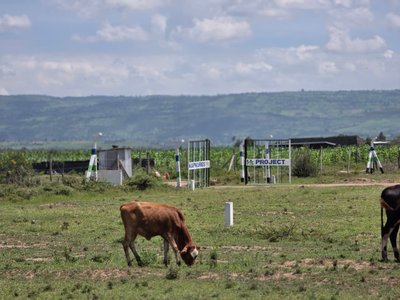 MUTAITA KAPKURES